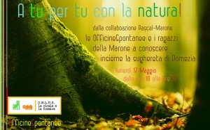 MARONE